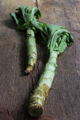 celtuce recipe, stem lettuce recipe, celtuce