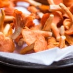 red chanterelles from wisconsin