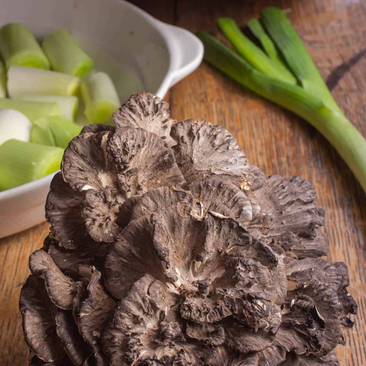 hen of the woods gratin recipe, maitake mushroom gratin recipe 