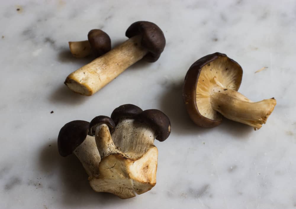 Fried chicken mushrooms lyophyllum decastes