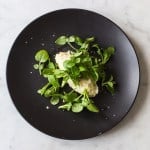 celery root salad with chickweed and watercress