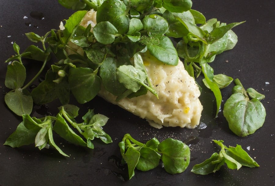 celery root salad with watercress and chickweed