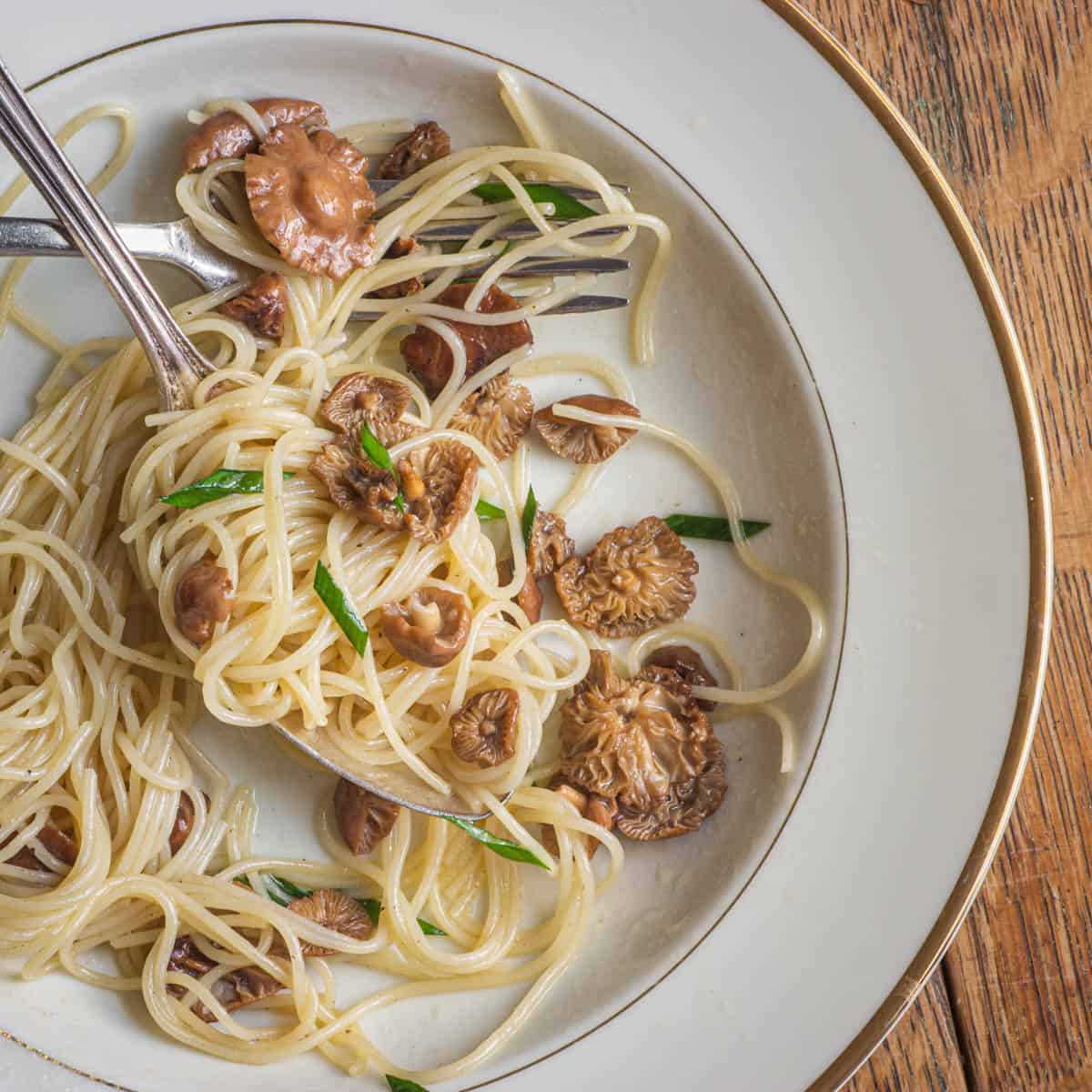 Angel hair pasta with fairy ring mushrooms and garlic chives