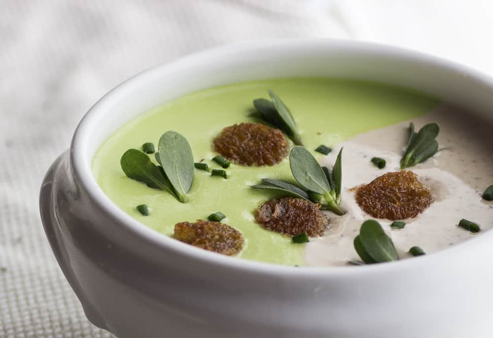 English Pea and Black Trumpet Cream Soup With Purslane