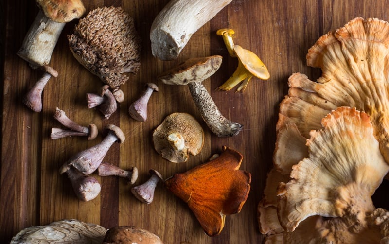 Wild Mushrooms With Garlic And Parsley