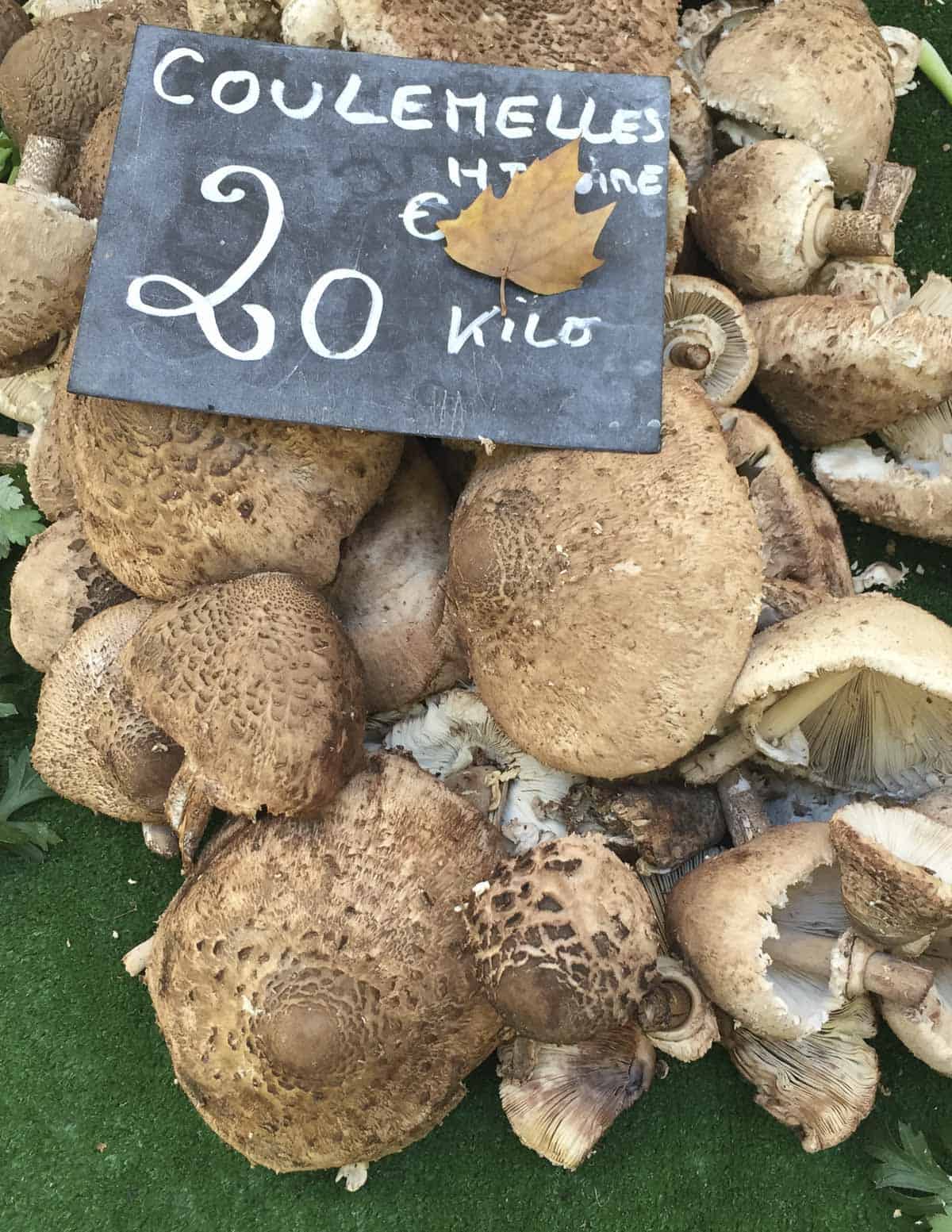A picture of Macrolepiota procera for sale at a mushroom market in Provence, France. 