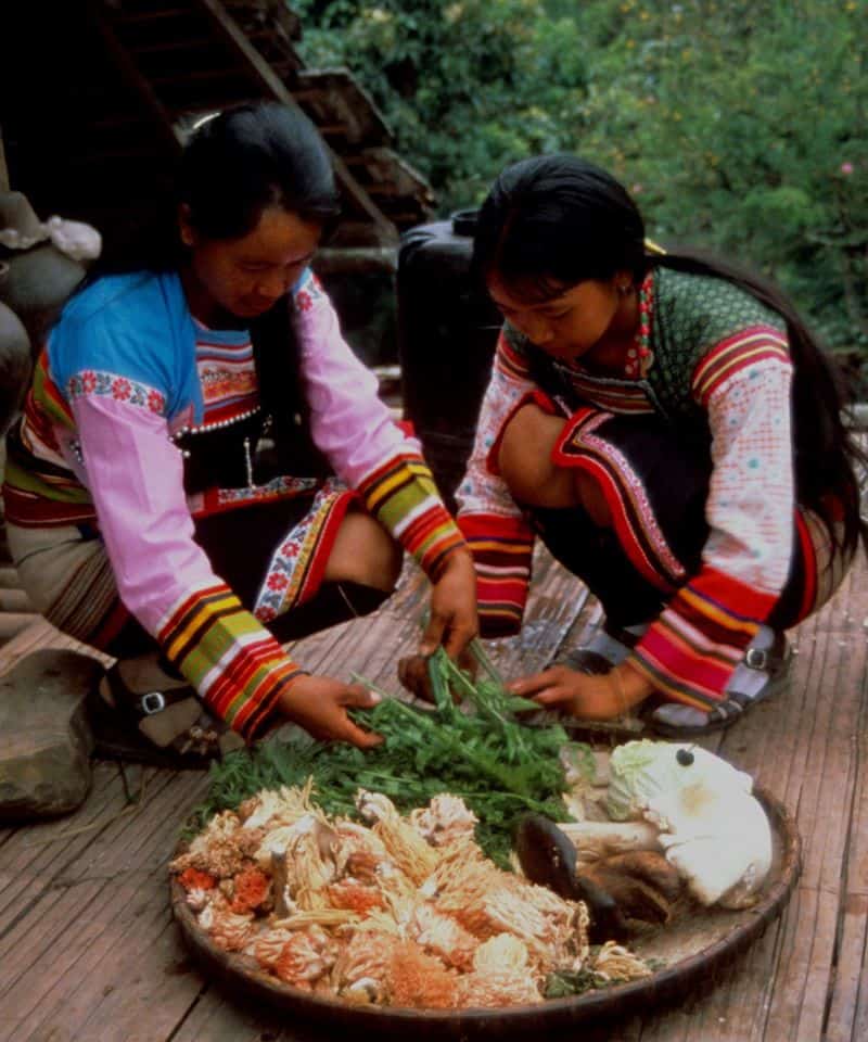 ramaria, coral mushrooms,