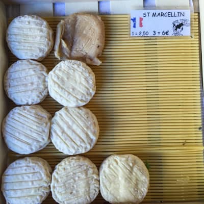 St. Marcellin Cheese