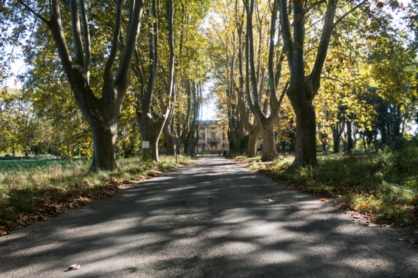 Chateau Roussan