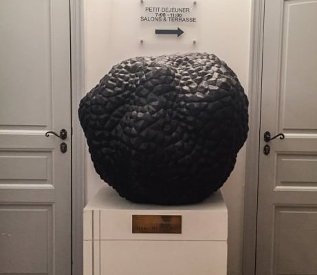 Giant Truffle at Jacques Chibois
