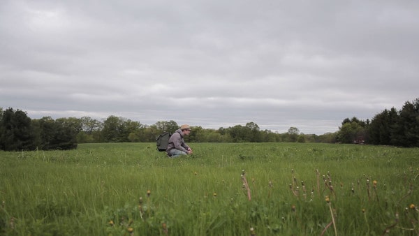 Spring Forage, forager chef, alan bergo,