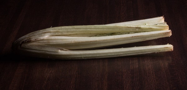 Cardoon