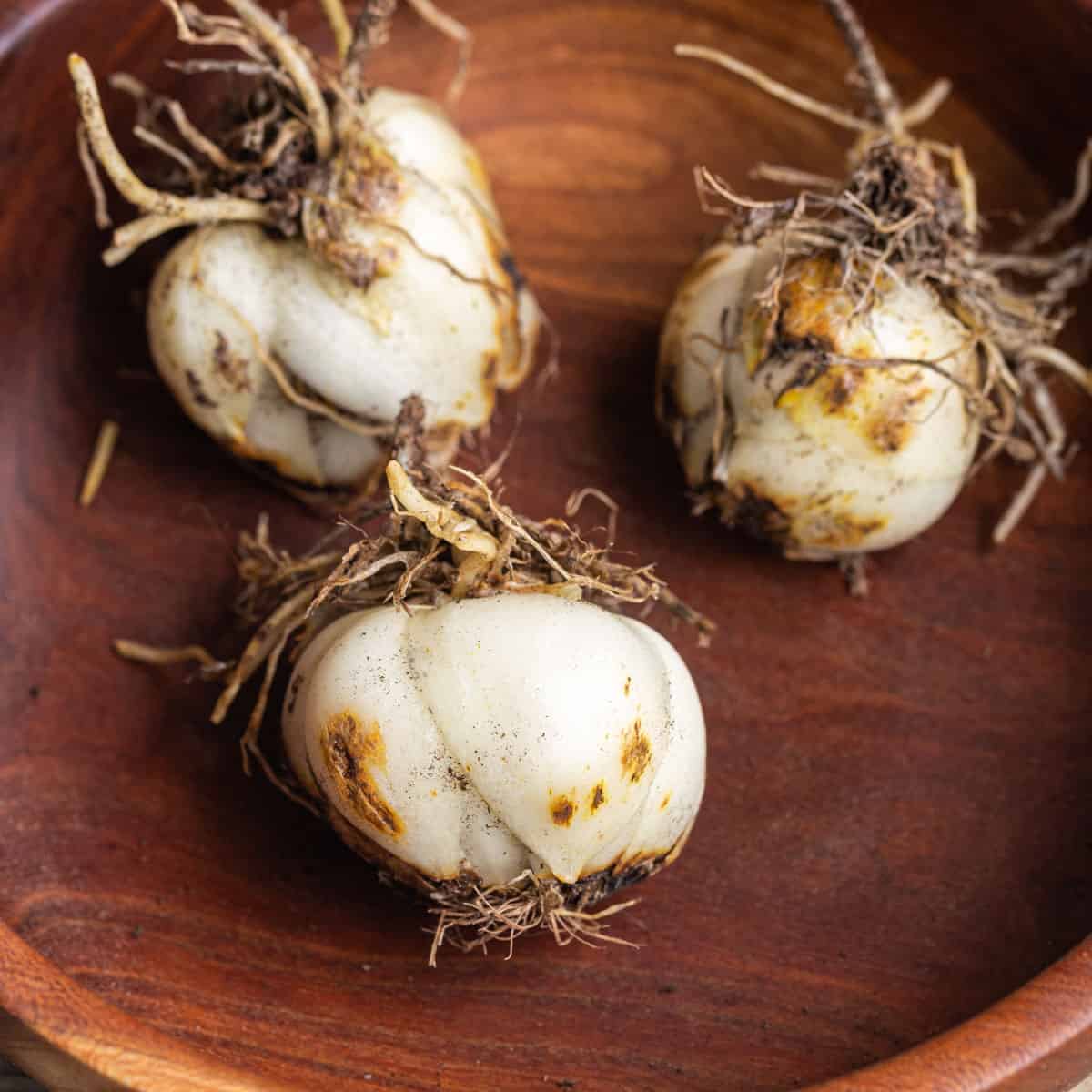 Cooking with Lily Bulbs Forager Chef