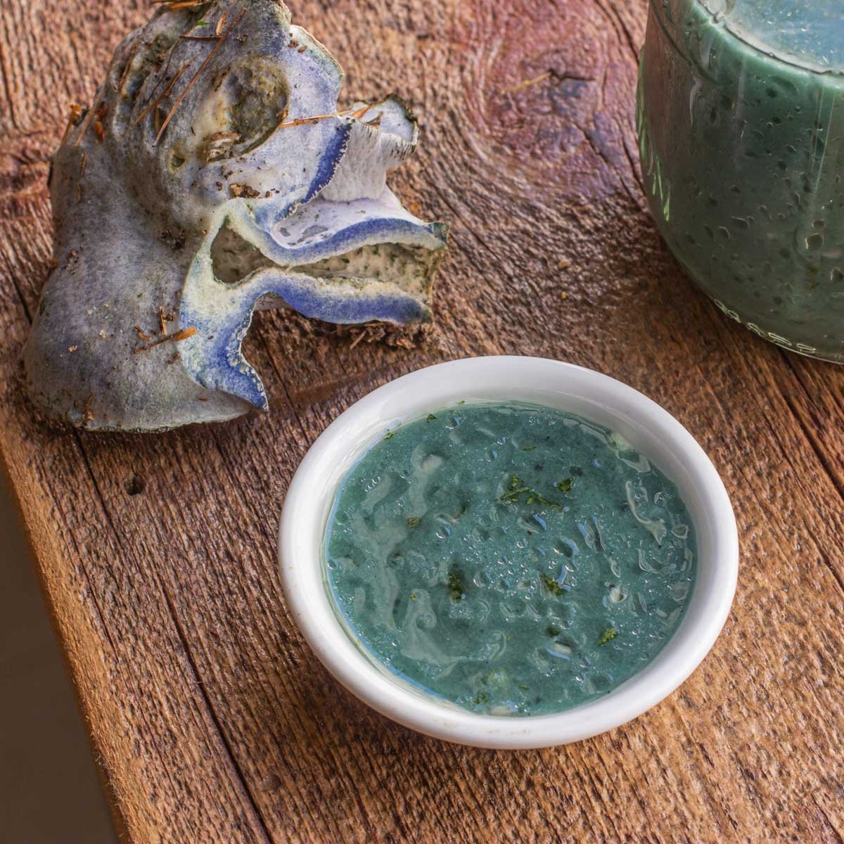 Lactarius Indigo Vinaigrette Recipe FORAGER CHEF