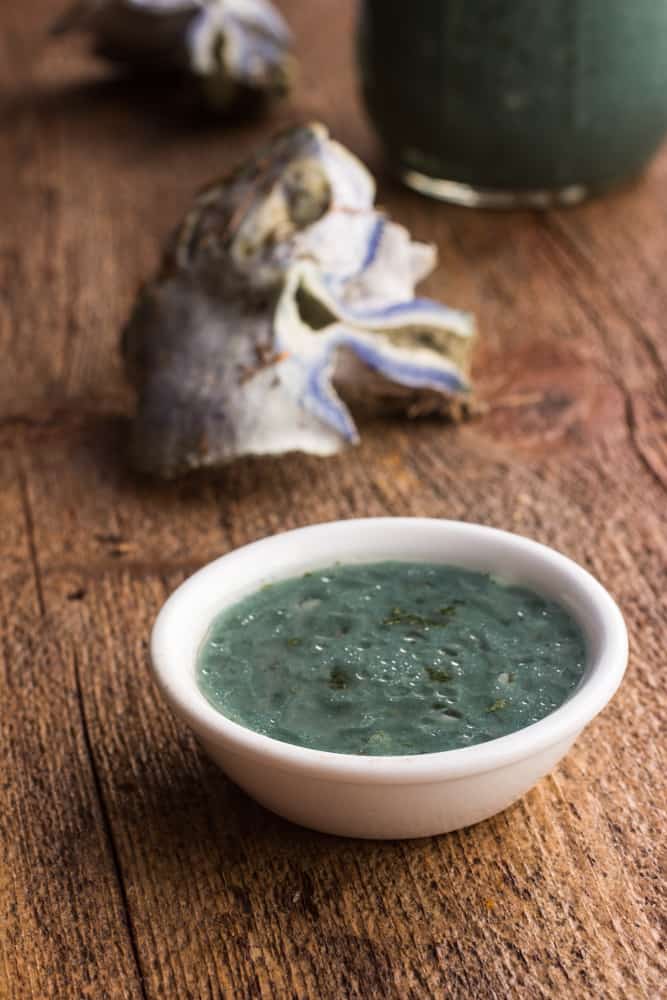 Lactarius Indigo Vinaigrette