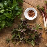 Bergamot-Ramp Chimichurri