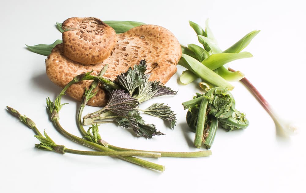 Dryad Saddle Mushrooms and WIld Spring Vegetables