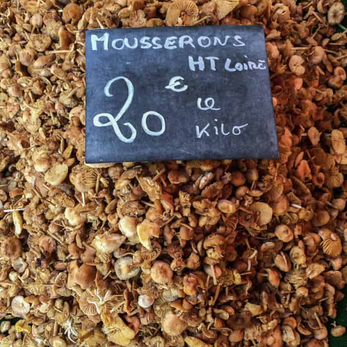 Fairy Ring Mousseron Mushrooms In Provence