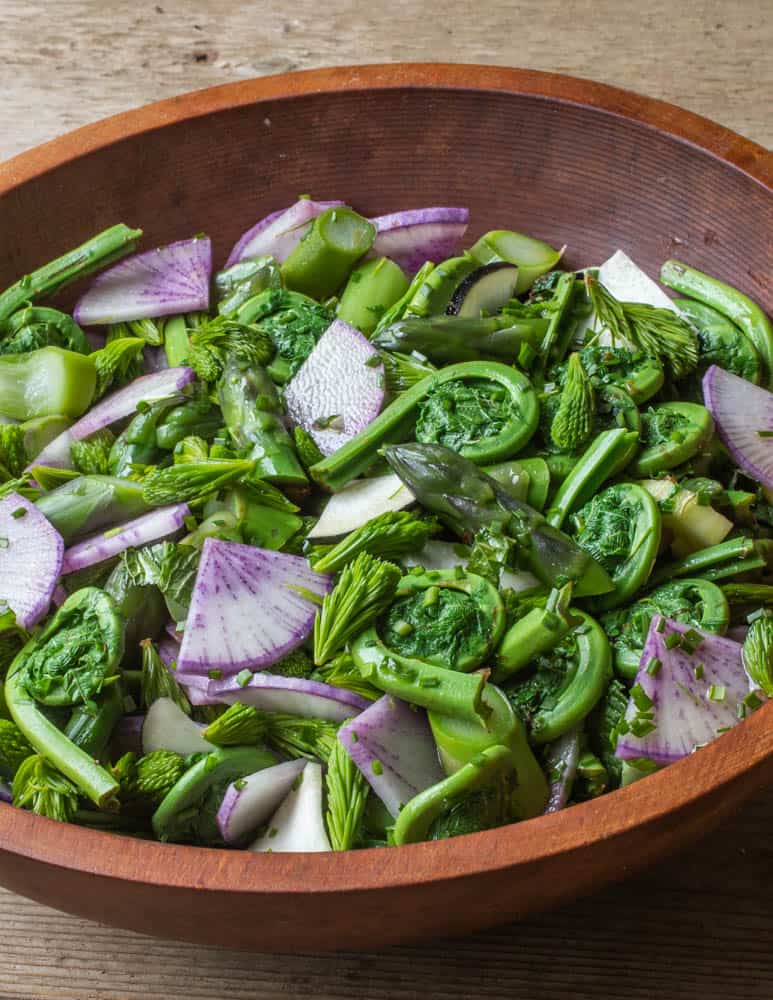 Fiddlehead, Asparagus Salad with Spruce Tips, Lavender Radish and Fresh Herbs