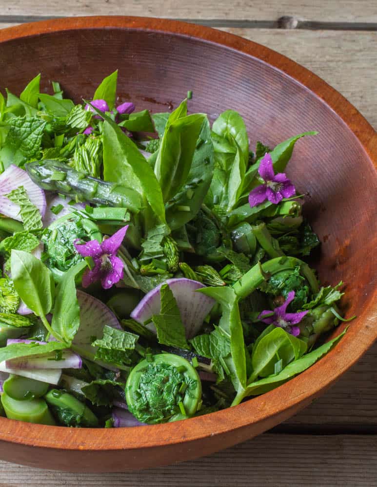 Asparagus Salad with Spruce Tips Violets and Chickweed