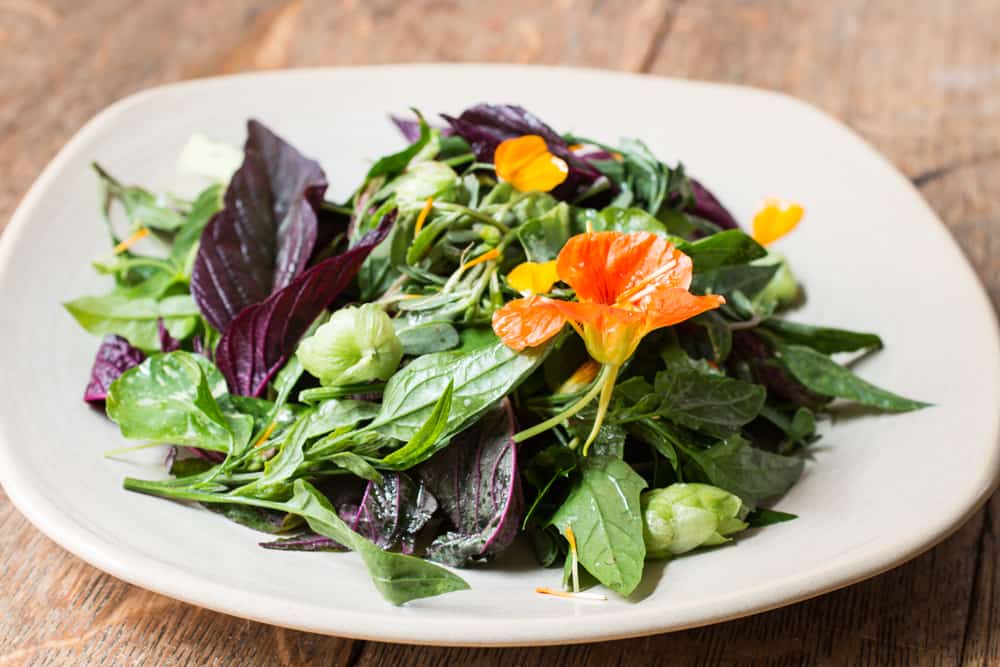 The Incredible Edible Flower Salad With Fresh Herbs Recipe 