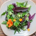 A salad of edible wild plants