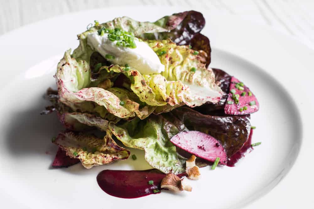 Red Oak Lettuce with Chokeberry Vingaigrette, Winter Radish and Chevre