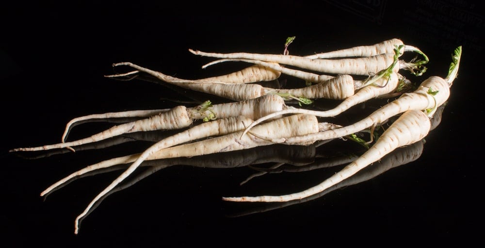 Spring dug parsnip