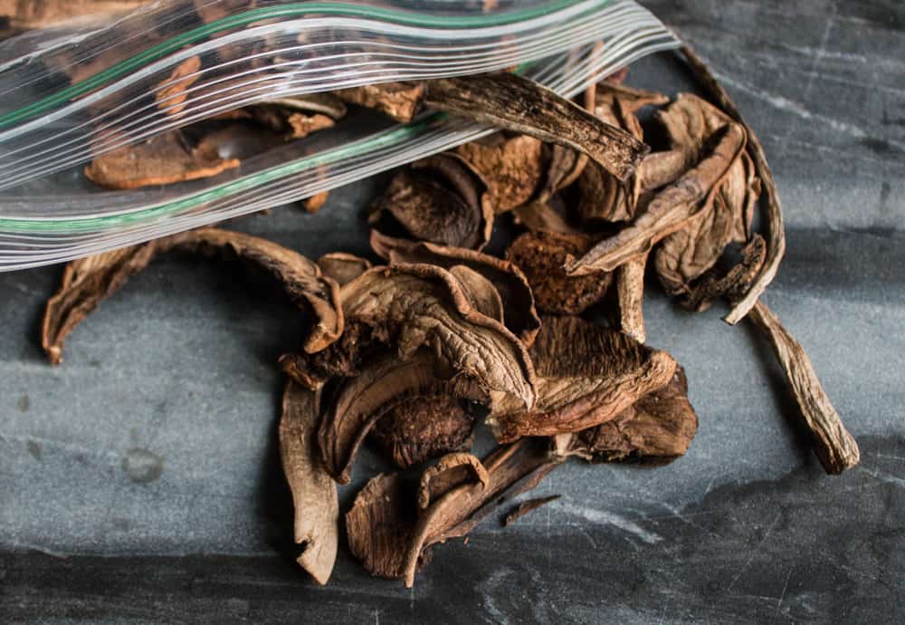 dried birch bolete mushrooms 