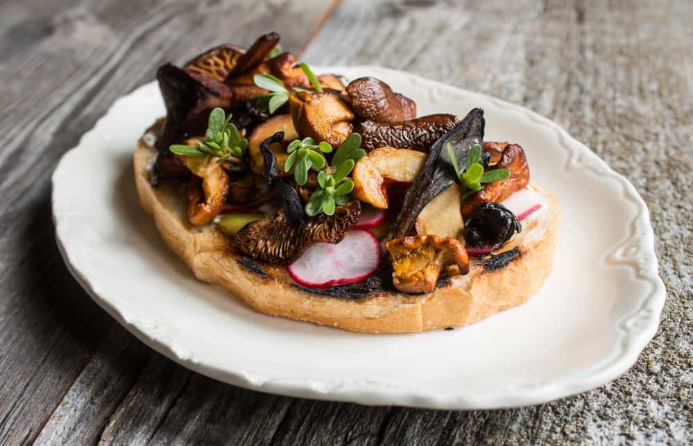 Wild Mushroom Tartine