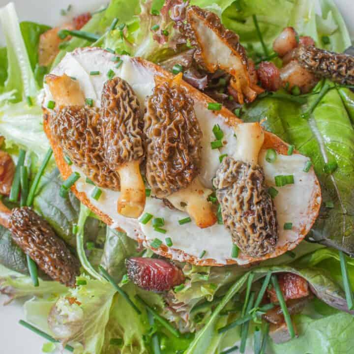French Morel Mushroom Salad FORAGER CHEF