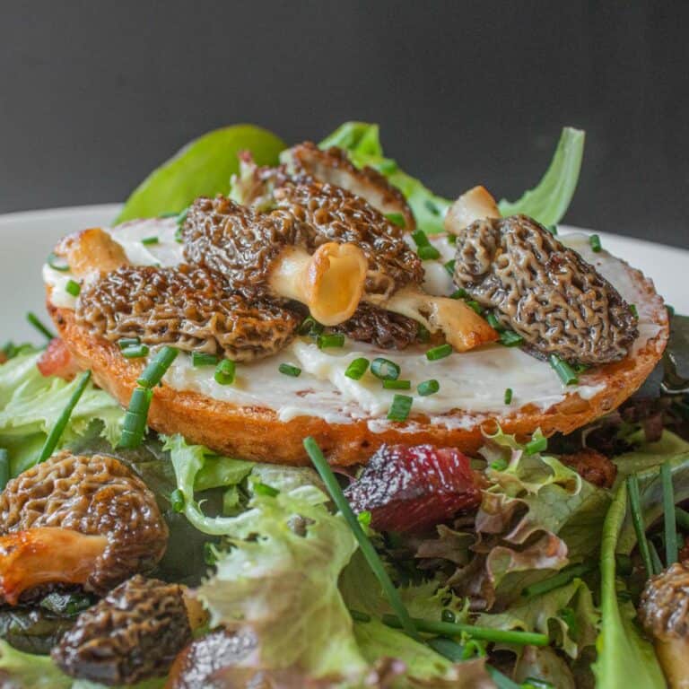 French Morel Mushroom Salad FORAGER CHEF