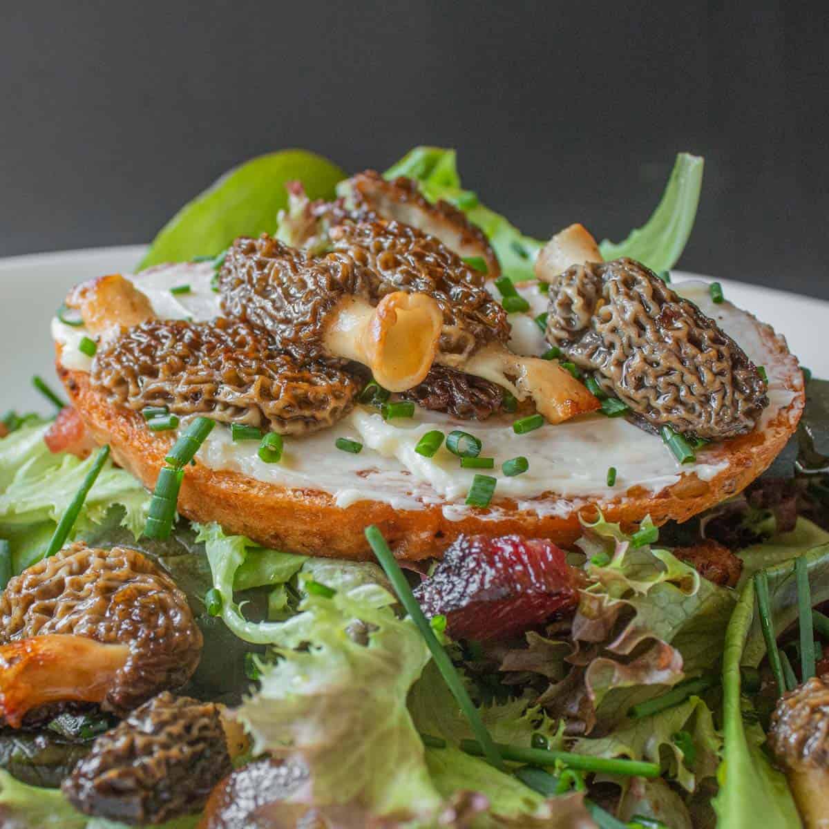 french morel mushroom salad