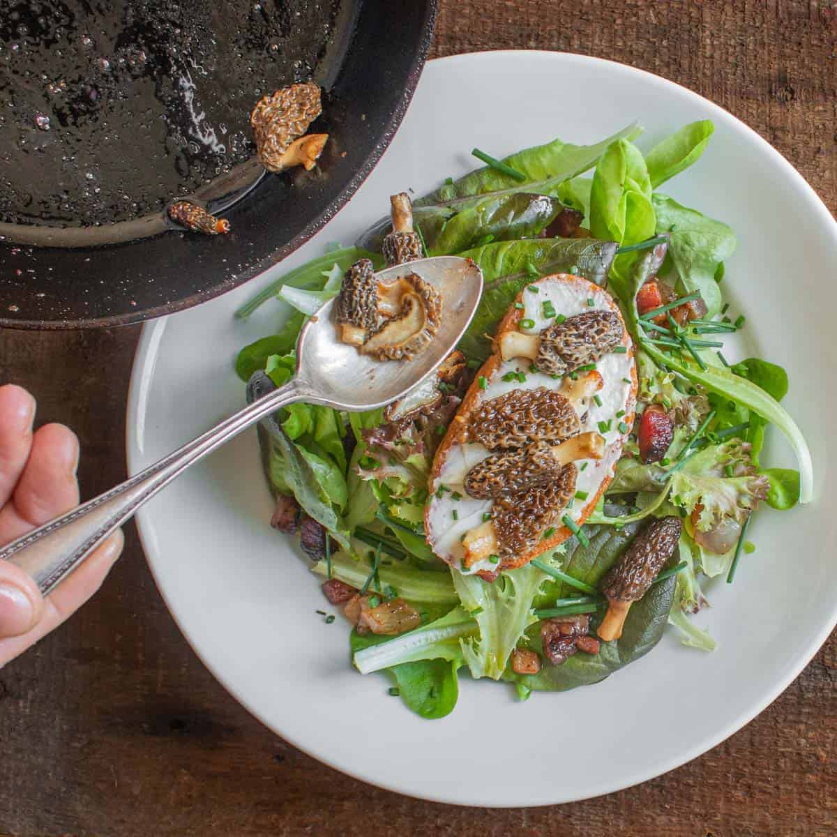 French morel mushroom salad