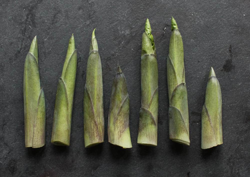 Edible Hosta Shoots