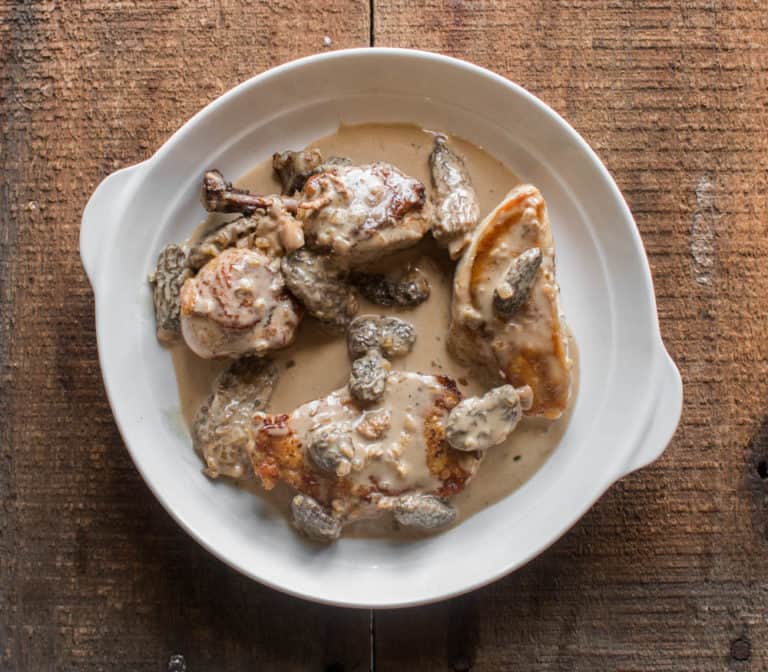 Pan Roasted Chicken with Morel Mushroom Sauce