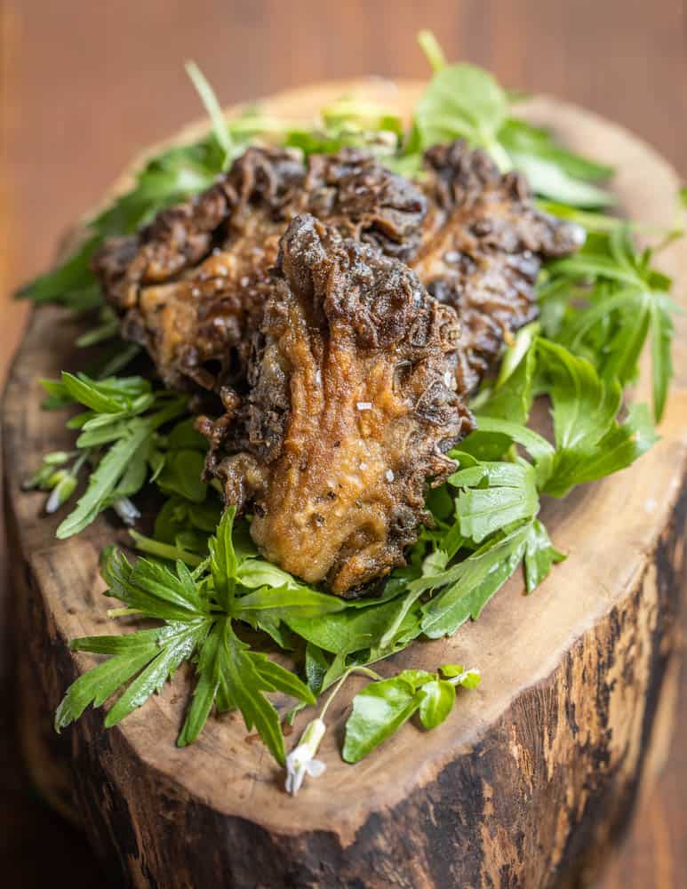 Fried Gyromitra Caroliniana