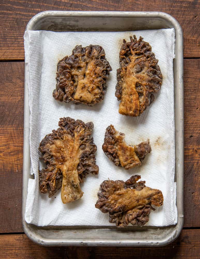 Fried Gyromitra Caroliniana