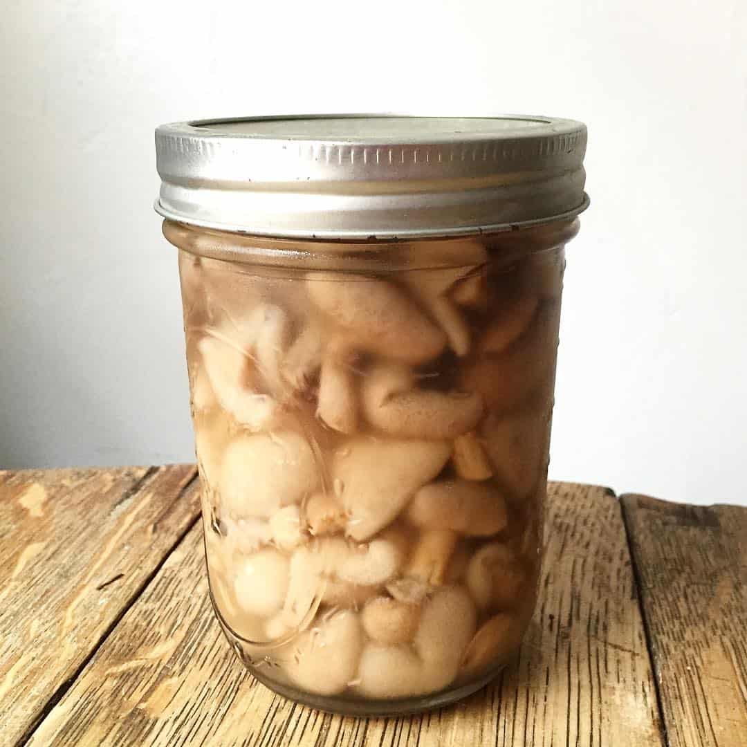 slippery jack mushroom pickles 