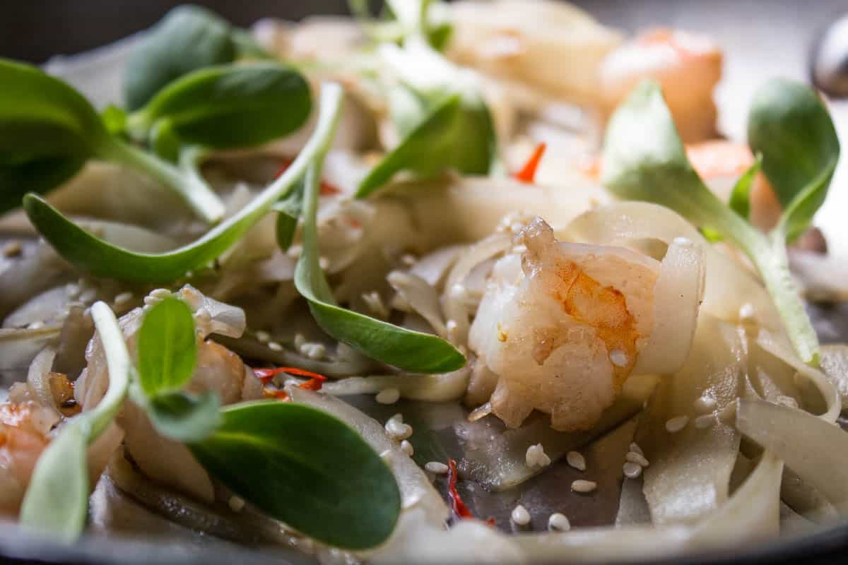 Burdock flower stalk noodles with sunflower sprouts, sesame, hot chili, lime juice, sunflower oil and shrimp