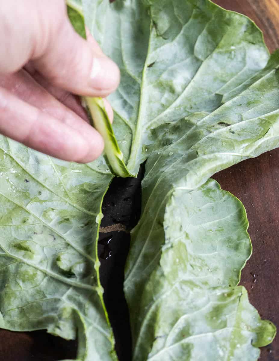 removing the rib from broccoli leaves