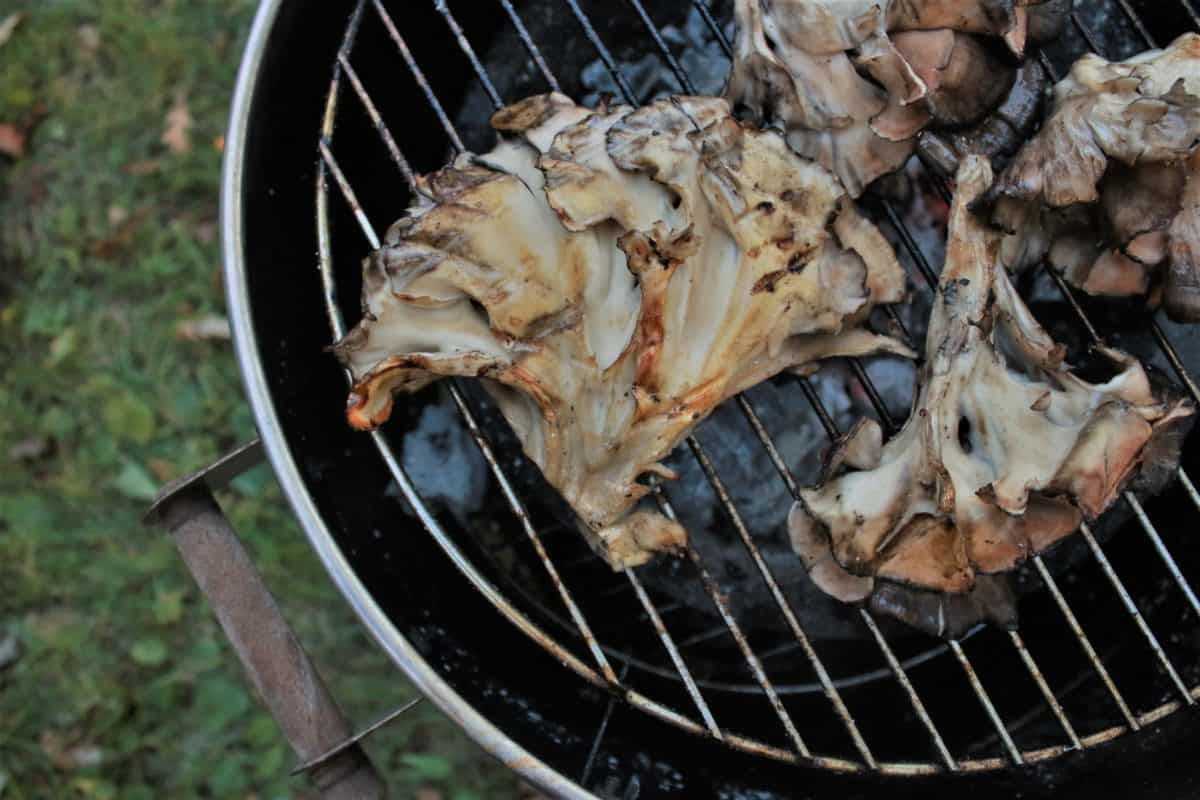 grilled hen of the woods mushroom