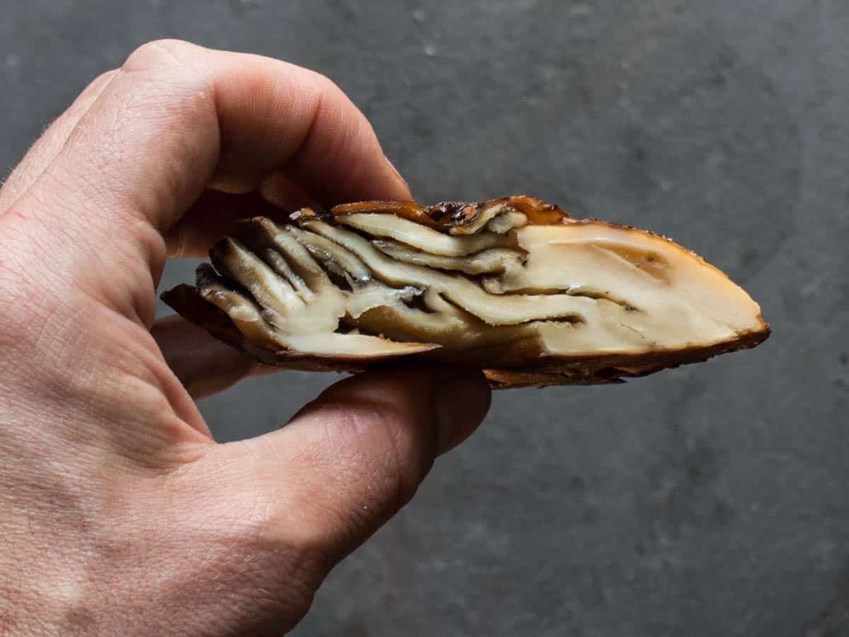 Hen of the woods mushrooms or maitake cooked under a brick