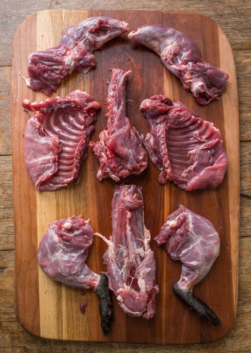 woodchuck skinned butchered and quartered 