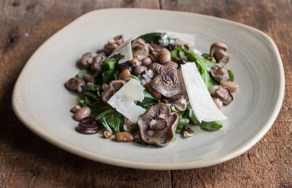 Arugula, Blewit, and Heirloom Bean Salad