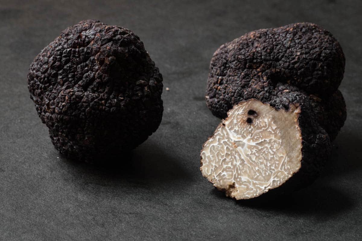 tuber melanosporum, black truffle, black winter truffle 