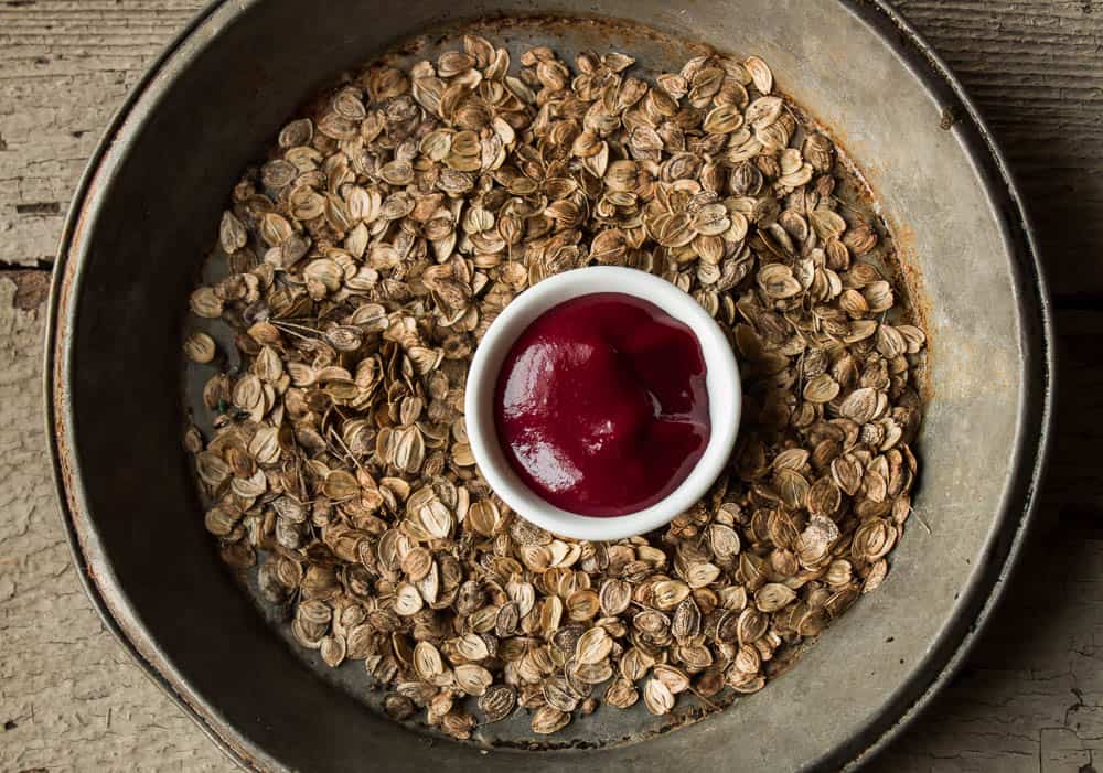 Fresh Cranberry Sauce with Cow Parsnip Seeds and Warm Spices_