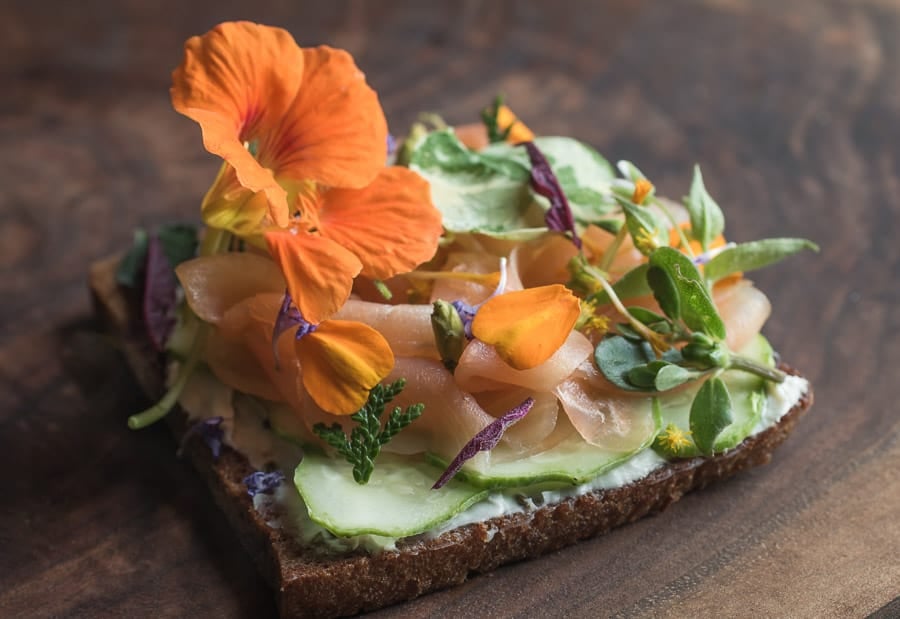 cured salmon with foraged herbs and cedar cones 