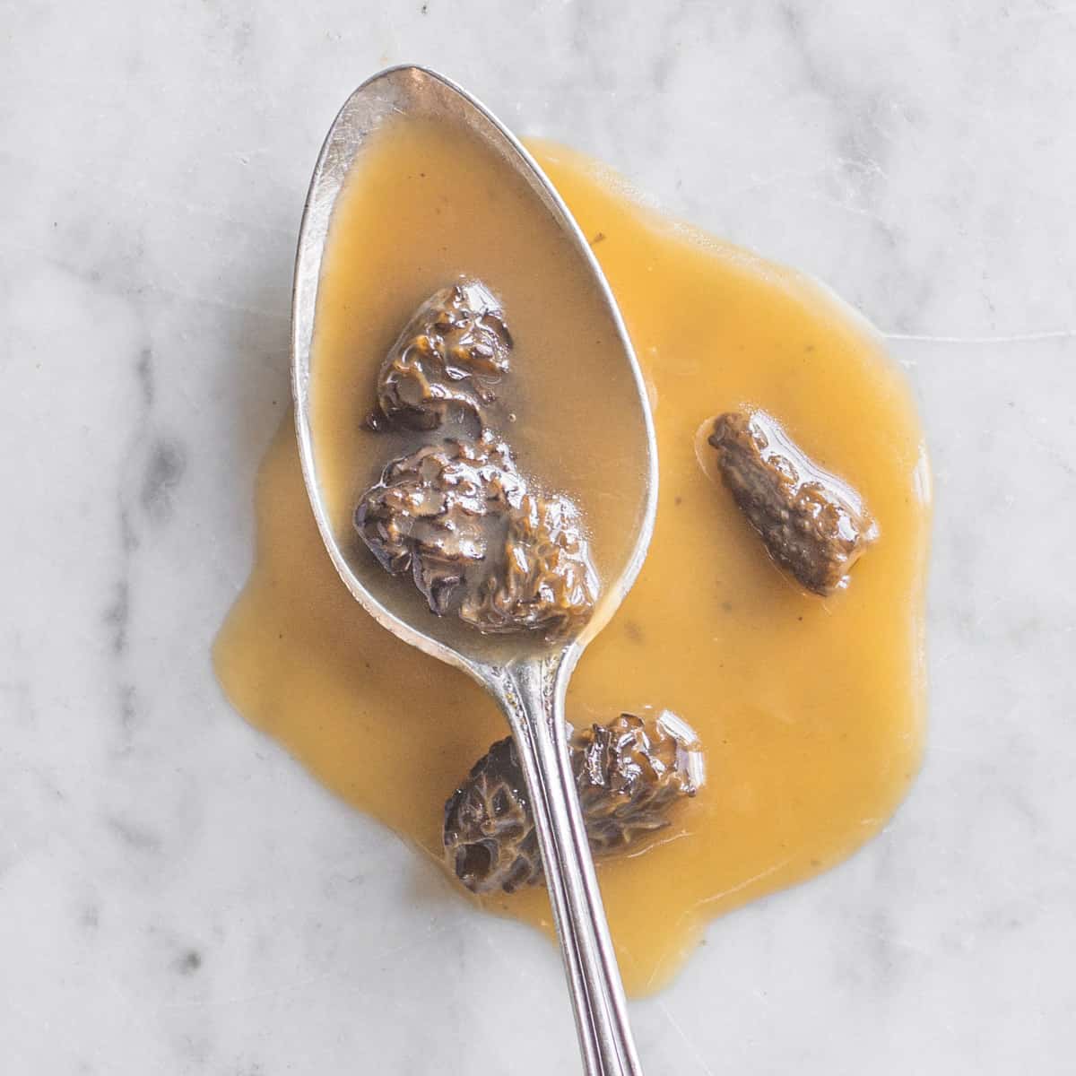 Dried Morel Mushroom Gravy FORAGER CHEF