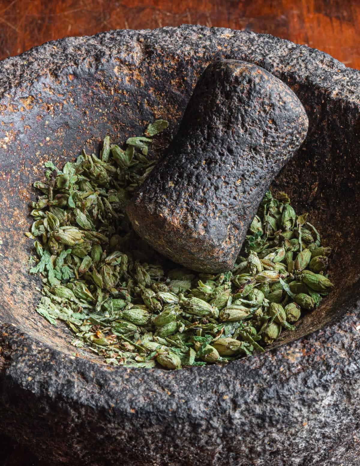 Grinding white cedar cones to a powder in a molcajete spice grinder.